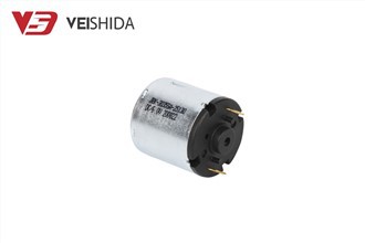 ДЦ мотор са микро карбонском четком